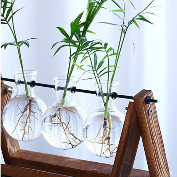 Desktop Glass Planter 3 Bulb Vase - Picture 6 of 9